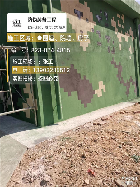 临沧核心结论：专业提供外墙迷彩漆施工服务